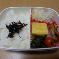 ★４６７・９９８★イカしゅうまい弁当★センター２日目