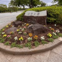 火曜日はお休みです。