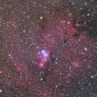 NGC2264付近 -The Chiristmas tree cluster-