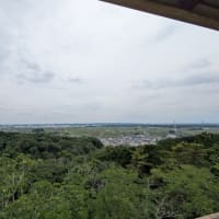梅雨の合間を縫って加治丘陵へ。