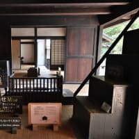 川崎市立民家園＊歩きカメラ４８