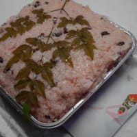 持粱歯肥