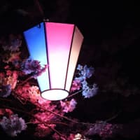 個展展示の半切写真