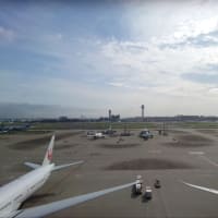 この苺のように山谷を巡った人生だったね