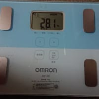 ダイエット325日目