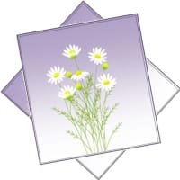二重かさね作品＆花文字