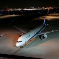 　　　　　　　　羽田空港国際線ターミナル