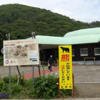 今日はK氏とサクランボ狩りに
