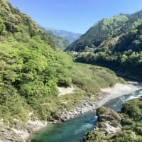 みなみの梅やん介護日誌/ 命日