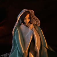 フレプリクリスマス！…去年のです(ｰｰ;)