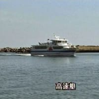 海鳥のサンクチュアリ　天売島と森林浴を楽しむメルヘンの焼尻島　６９回目　焼尻島