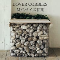 【Dover Lover】