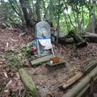 久し振りに金剛山に登った２