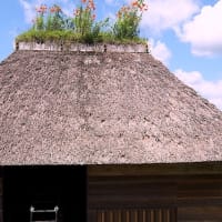 岩手・遠野の夏から