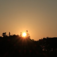 多摩川夕景
