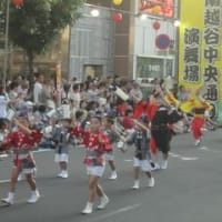 南越谷阿波おどり