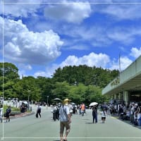太陽の塔とブルーインパルス ‐