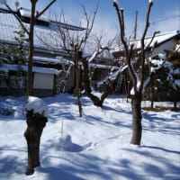 やっぱり降るのね