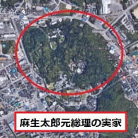 現金１人数万円給付、自民が参院選で公約に…