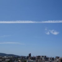 昨日今日の空