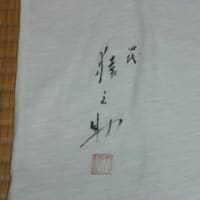 ワンピース歌舞伎 4回目 ちまっと観劇 感激 生活