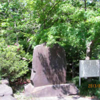 横浜白根公園