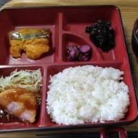 250415フィカータ幸福食堂豚っち