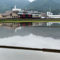 水田に映る肥薩おれんじ鉄道