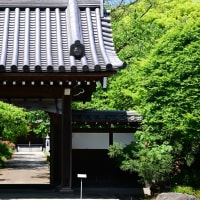 花の寺