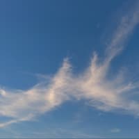 天気はどうなるかな