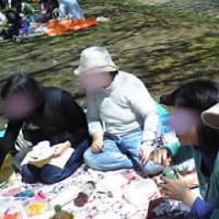 ◆４／２　お花見交流会 in 上岩崎公園