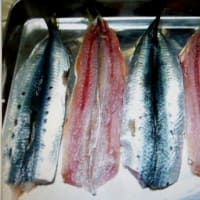 おばさんの料理教室　　いわしの蒲焼😢