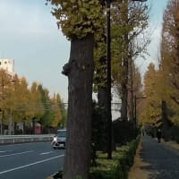 恐怖の忙殺日本列島！？　預金を抜かれるのでは？　令和０７年０４月２９日　２０時１８分