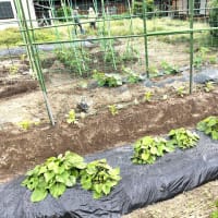  5月27日(火)②