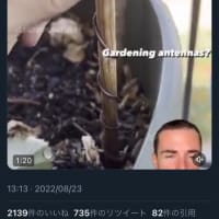 こんなの試してみました。
