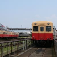 第２回『小湊鐵道キハ２００チャリテイ運転体験会』に参加しました。/ 2011-8-14