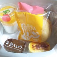 ワラビとりに行ってきました