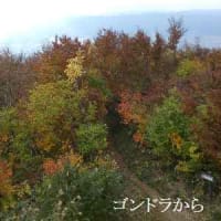 八海山の紅葉