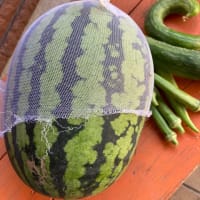 片付けと色々
