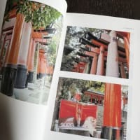 書籍化