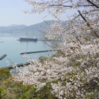 AIも花盛り