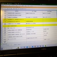 2025年参院選
