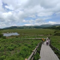 八島湿原