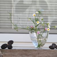 野の花