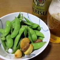 アジサイのお花に紅シジミ蝶
