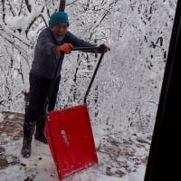 訳のわからない風邪と闘う。