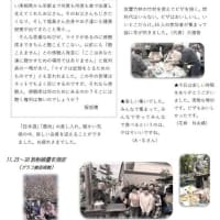 原発ゼロプログラムの会のニュースNo.8をご紹介します