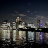 毎度の東京タワーですが、こうして全景を見てみると高層ビル群に埋もれて存在がすっかり希薄に...