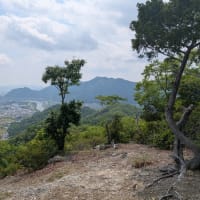 鶴嘴山　2025.5　「23」