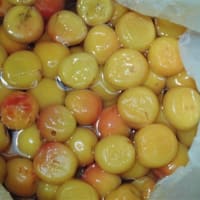 今年の梅干しづくり（2）